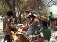 /album/galeria%20de%20fotos%3a%20multiplica%c3%a7%c3%a3o%20no%20chile/celulas-lider-juan-4-jpg/